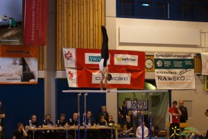sm-bazenheid-2013-97-1